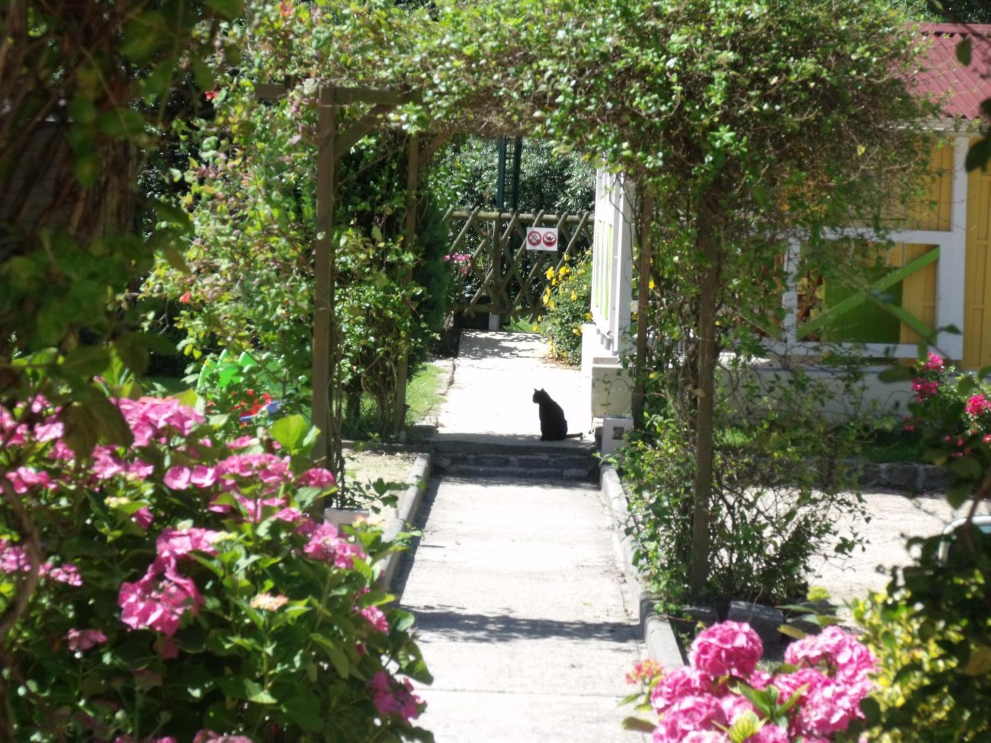 Le Clos Robinson Martin-Eglise ภายนอก รูปภาพ